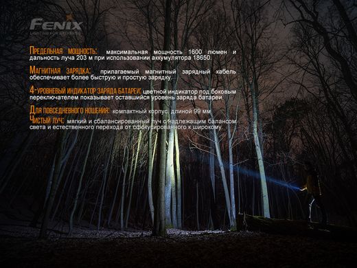Купити Ліхтар ручний Fenix E30R Cree XP-L HI LED в Україні