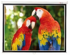 Купити Екран настінний Redleaf SGM-1103, 180*180 в Україні