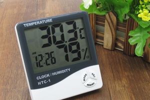 Термометр цифровой с выносным датчиком. Модельный ряд термометров