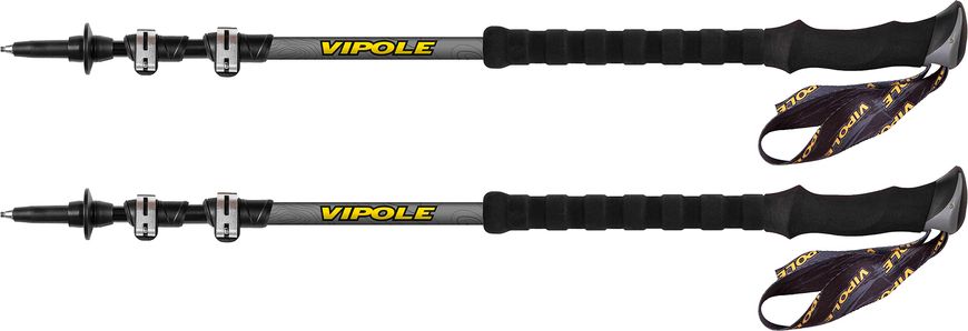 Купить Трекинговые палки Vipole Base Camp QL Long DLX (S20 06) в Украине