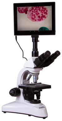 Купити Мікроскоп цифровий Levenhuk MED D25T LCD, тринокулярний в Україні