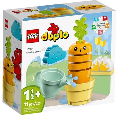 Купить Конструктор LEGO DUPLO My First Морковь на грядке 11 деталей (10981) в Украине