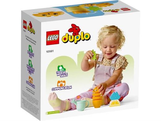 Купить Конструктор LEGO DUPLO My First Морковь на грядке 11 деталей (10981) в Украине