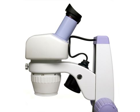 Купити Мікроскоп Levenhuk 5ST, бінокулярний в Україні