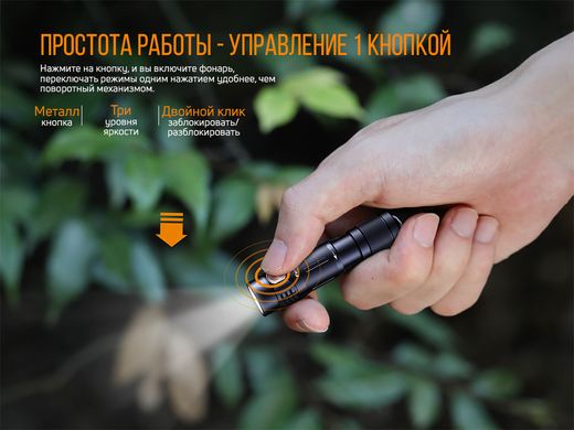 Купити Ліхтар ручний Fenix E05R бронзовий в Україні