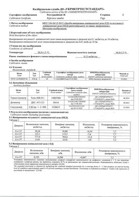 Купить Дозиметр FS600 (со Свидетельством о метрологической калибровке ISO 17025) в Украине