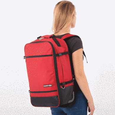 Купити Сумка-рюкзак на колісах CarryOn Daily 44 Red в Україні