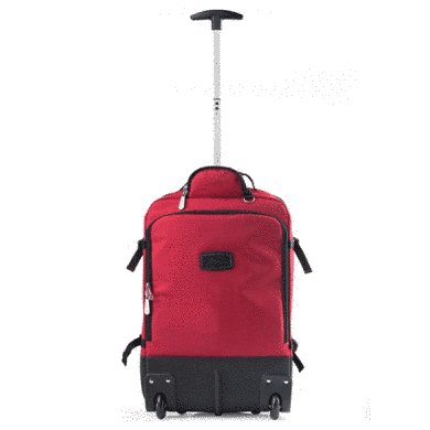Купить Сумка-рюкзак на колесах CarryOn Daily 44 Red в Украине
