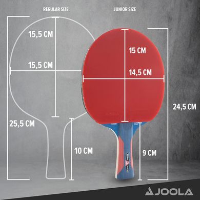 Купить Ракетка для настольного тенниса Joola Rossi JR Pro (53140) в Украине