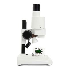 Купити Мікроскоп Celestron Labs S20 (20х) (44207) в Україні