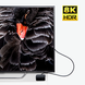 Відео кабель PowerPlant HDMI (M) - HDMI (M), 2.1V, Ultra HD 8K, eARC, 28AWG, 5м CA913220