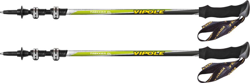 Купить Трекинговые палки Vipole Trekker QL Green (S20 14) в Украине