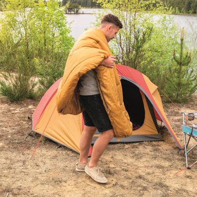 Купити Спальний мішок Easy Camp Sleeping bag Nebula L Right (240156) в Україні