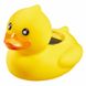 Термометр для ванночки TFA «Ducky» 30203107