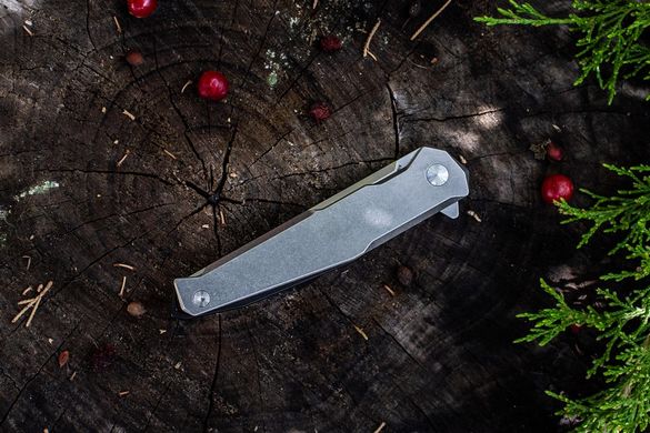 Купить Нож складной Ruike P108-SF в Украине