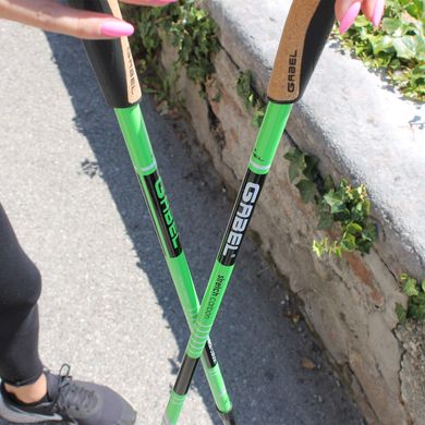 Купить Палки для скандинавской ходьбы Gabel Stretch Lite Carbon (7008352600000) в Украине