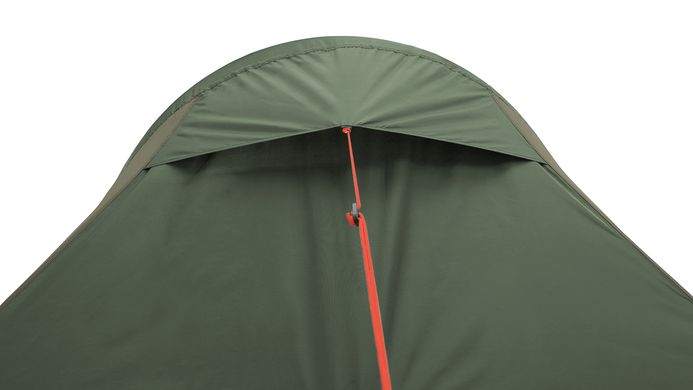 Купить Палатка двухместная Easy Camp Energy 200 Rustic Green (120388) в Украине