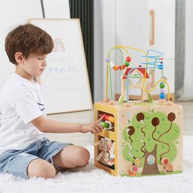 Купить Бизикуб деревянный Viga Toys 5 в 1 (44591) в Украине