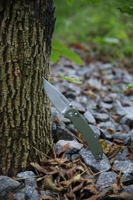 Купить Нож складной Ganzo G7531-GR в Украине