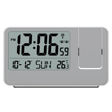Купить Проекционные часы Technoline WT534 Grey (WT534) в Украине
