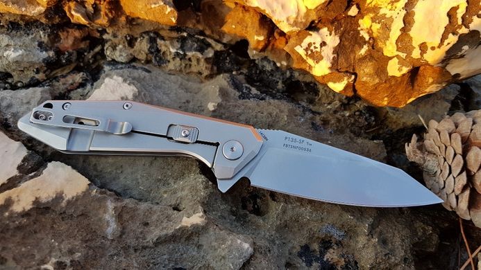 Купить Нож складной Ruike P135-SF в Украине