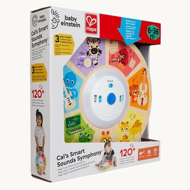 Купить Музыкальная игрушка Baby Einstein Magic Touch Веселый кружочек (800890) в Украине