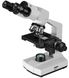 Микроскоп Bresser Erudit Basic Bino 40x-400x с адаптером для смартфона (5102200)