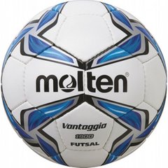 Купити М'яч футбольний F9V1900 в Україні