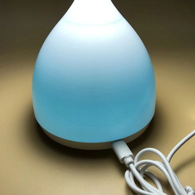 Купити Меняющий цвета Led Нічник Mush Light Атмосферная лампа Гриб с пружинистой шляпкой с аккумулятором в Україні