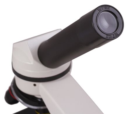 Купити Мікроскоп Levenhuk Rainbow D2L, 0,3 Мпікс, Moonstone\Місячний камінь в Україні