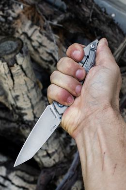 Купить Нож складной Ruike P831-SF в Украине