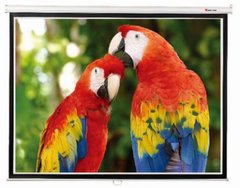 Купити Екран настінний Redleaf SGM-4302, 171х128 в Україні