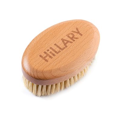 Купить Щетка овал для сухого массажа Hillary + Антицеллюлитное сухое масло с ксименией в Украине