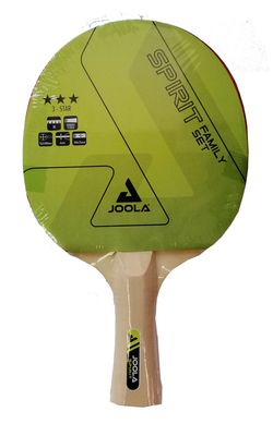 Купить Набор для настольного тенниса Joola Family 4 Bats 10 Balls (54810) в Украине