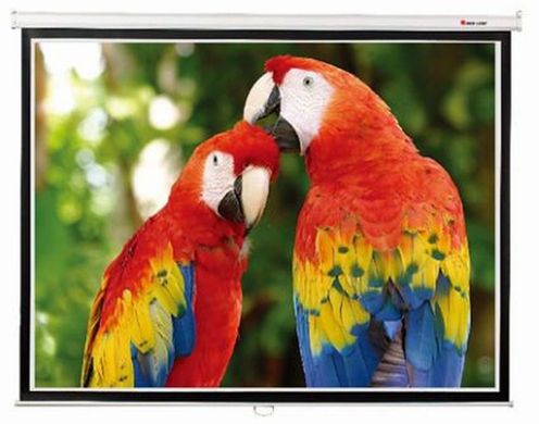 Купить Экран настенный Redleaf SGM-4304, 244*183 в Украине