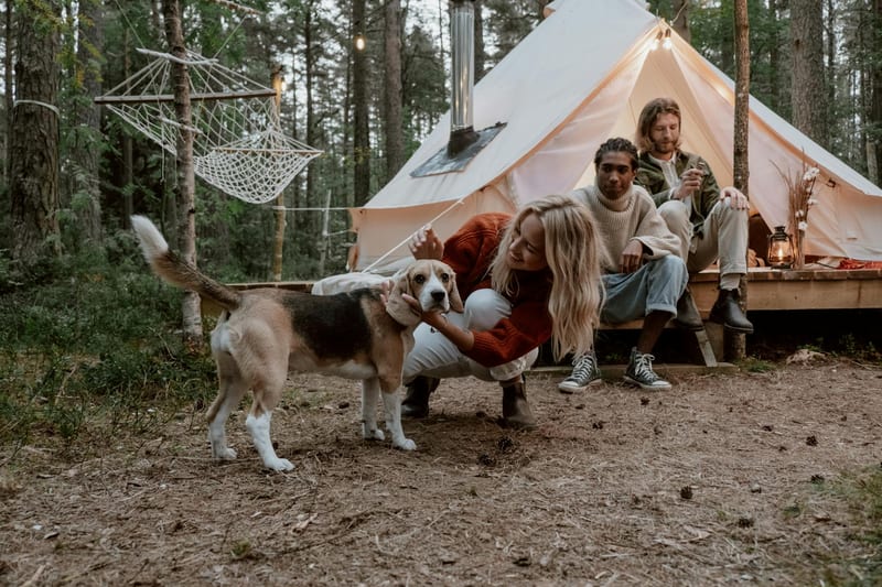 solar generator camping eastern european person — ілюстрація до статті