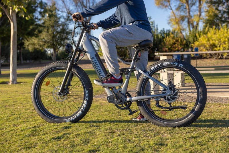 electric cargo bike — приклад для огляду, фото 3