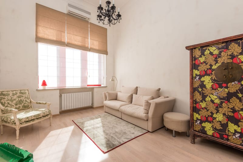 air purifier living room eastern european person — ілюстрація до статті