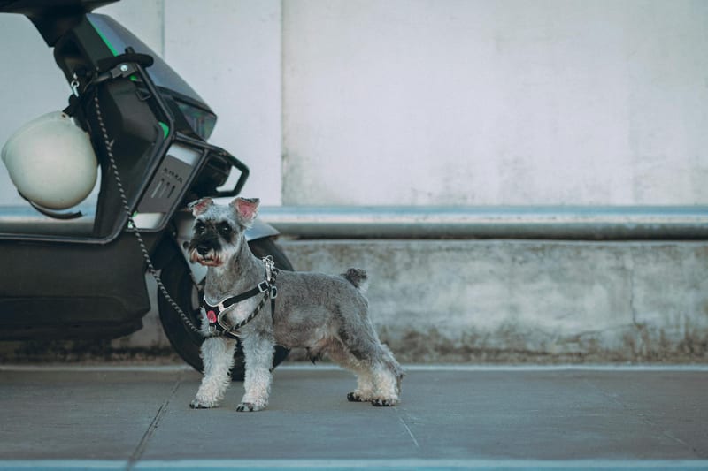 Электросамокаты 2024: подробный обзор моделей,… — фото 2