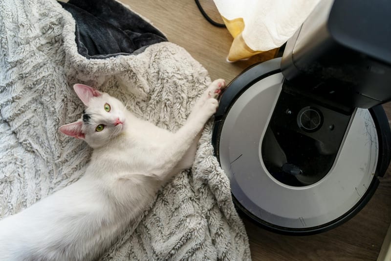 robot vacuum cleaning eastern european person — ілюстрація до статті