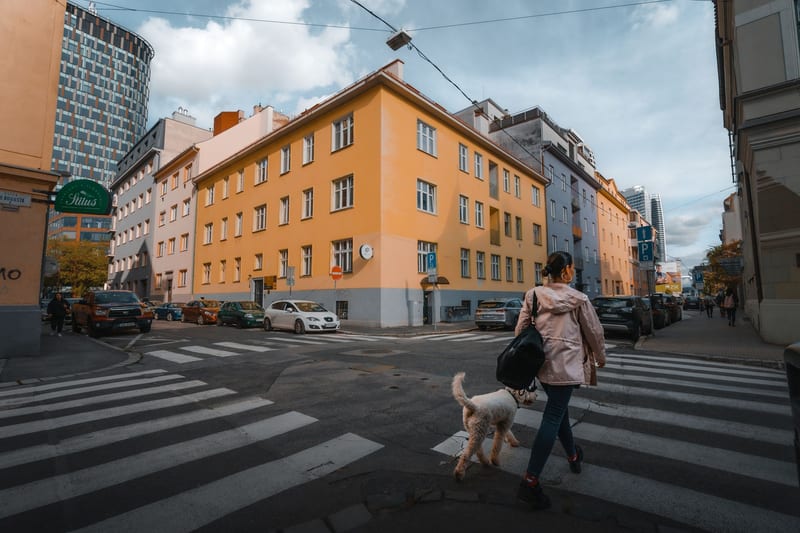 dog measuring tape eastern european person — ілюстрація до статті