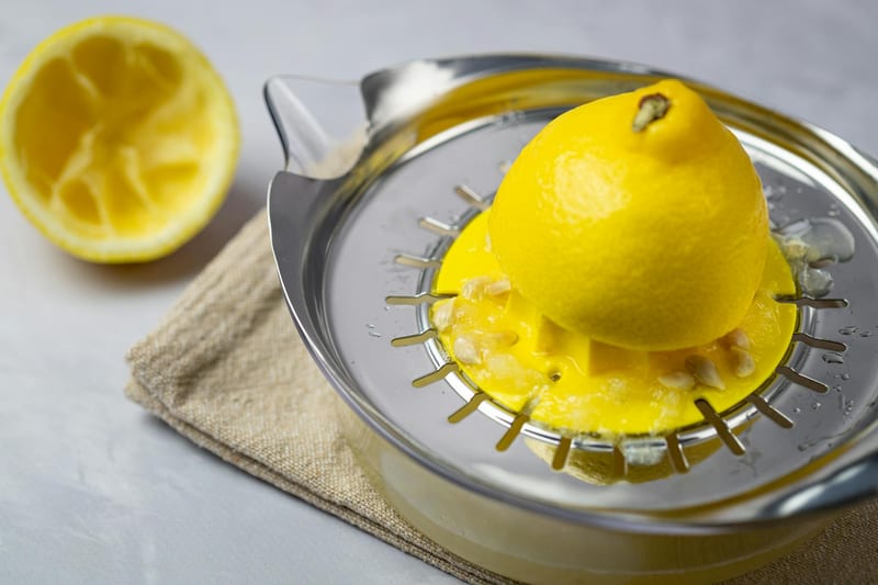 citrus juicer manual — ілюстрація до статті