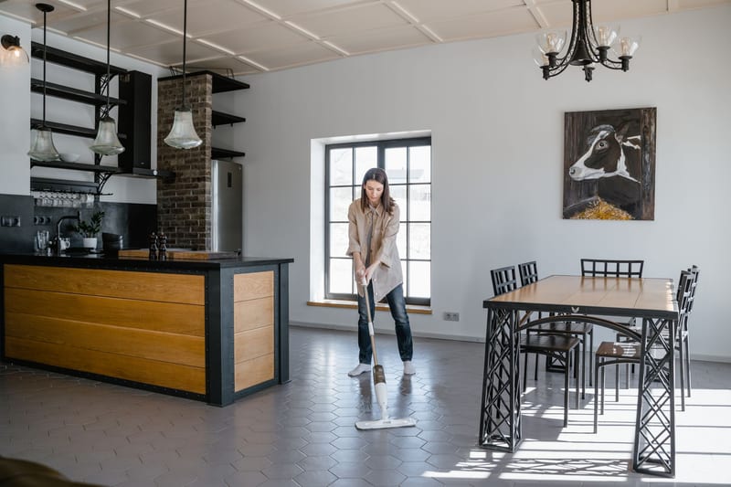 electric mop floor — ілюстрація до статті