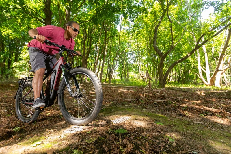electric mountain bike trail — ілюстрація до статті