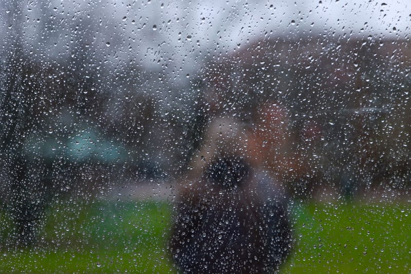 smart rain gauge garden eastern european person — ілюстрація до статті