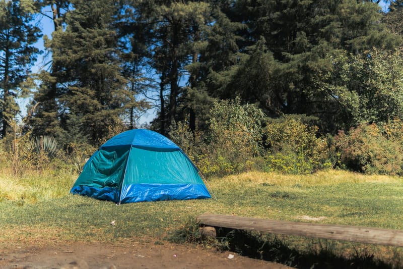 camping tent forest outdoor — ілюстрація до статті
