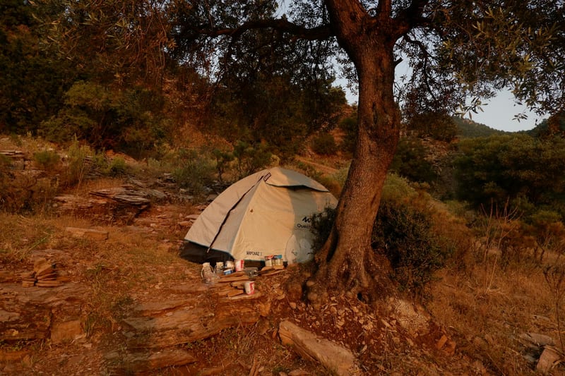 camping tent forest outdoor — приклад для огляду, фото 3