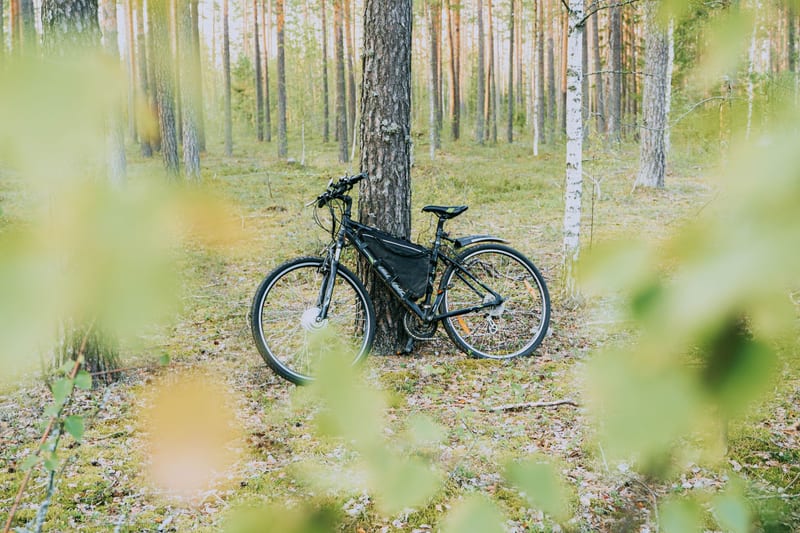 electric bicycle charging — приклад для огляду, фото 3