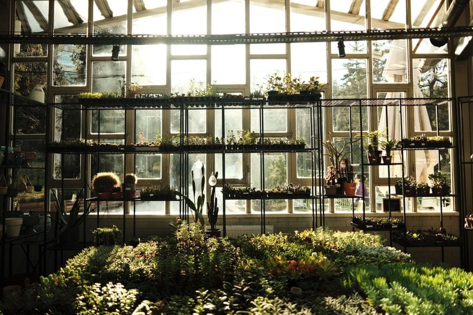 LED lighting for greenhouses: what to choose